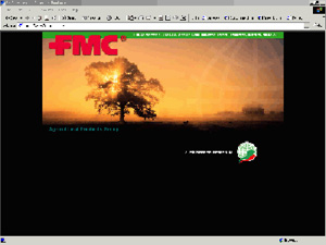 Click to view website